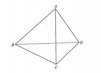 求这个正四面体这两个面的夹角平面abc和平面bcd的夹角