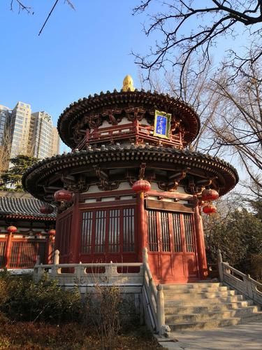 西安兴庆宫公园的初冬