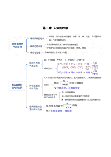 人教版七年级生物下册考点思维导图版.docx 9页