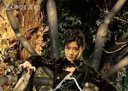 可是到了2007年的《楚留香传奇》里,鼻梁变挺了,下巴明显比之前尖了不