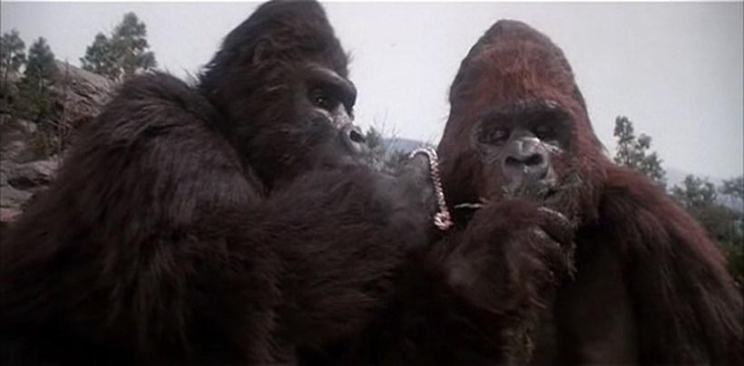 7.1986年《金刚复活king kong lives》– 7m 这部电影是1976