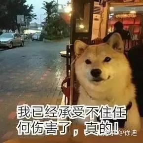 狗咬胸动漫头像