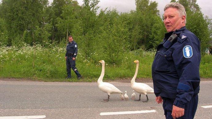 芬兰的萌警察和萌坐骑