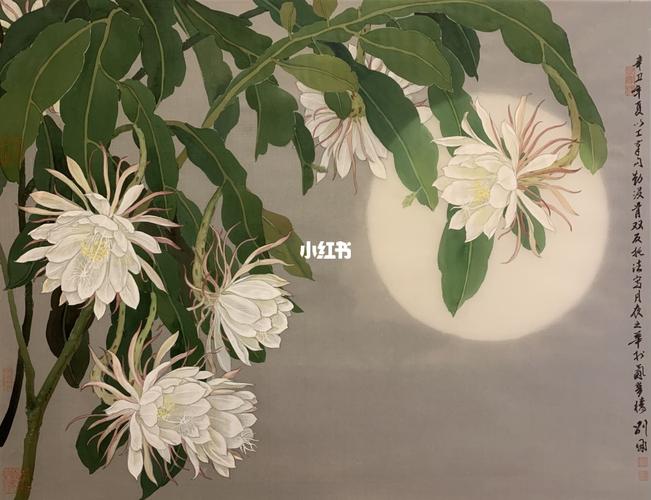 刘墉画画丨关于昙花的一段往事_绘画_夏天去哪玩_怀旧