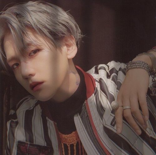 高冷男神和可爱的小狗狗|边伯贤头像壁纸