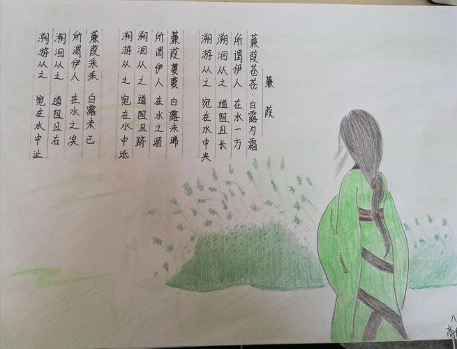 八5,八6班《诗经》的诗配画作品展示