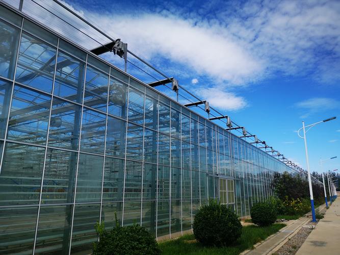 山东蔬菜温室大棚施工公司