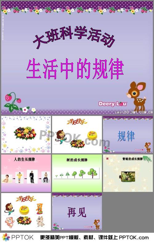 幼儿园生活中的规律ppt课件