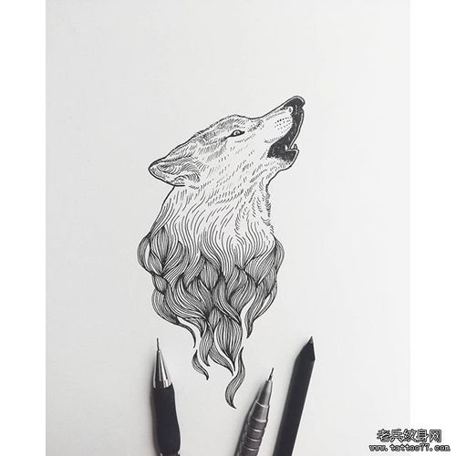 线条黑灰狼头纹身图案