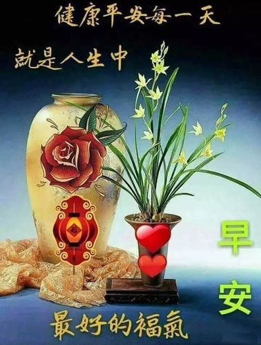 健康平安每一天,这就是人生中最好的福气