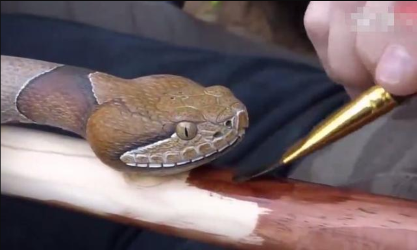 老人做了十几年的雕刻,木头雕刻的蛇头栩栩如生,仿佛