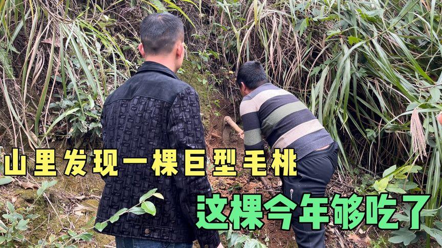 桂北小辉哥