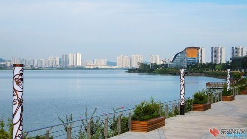 问政尹家湖8单位"一把手"遭质询 - 大冶论坛 - 东湖