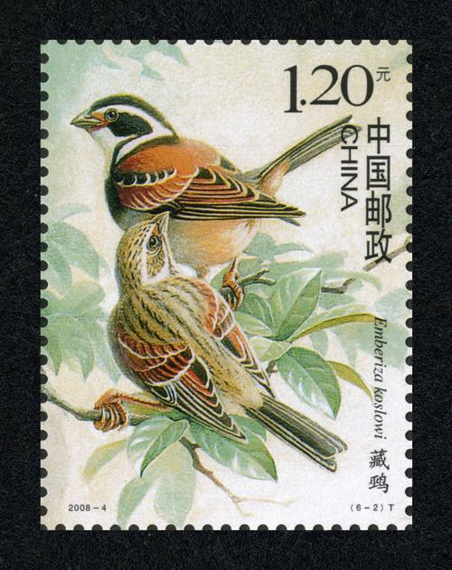 中国鸟(t)|邮票目录|邮来邮网