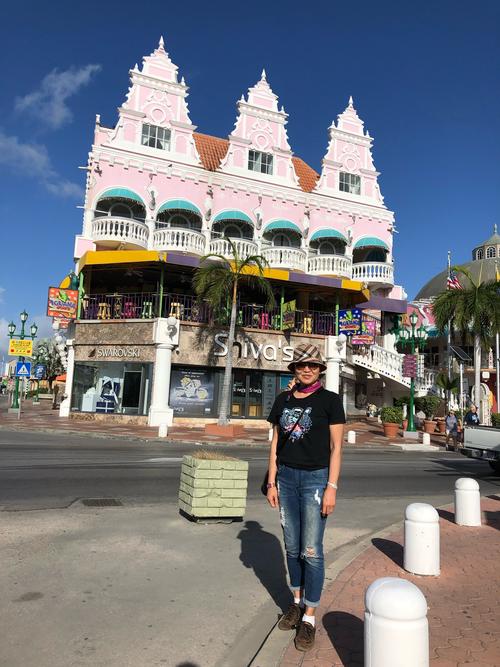 阿鲁巴现行政府形式:荷兰海外领地,一院制(议会)