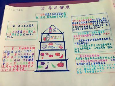 食物搭配营养手抄报