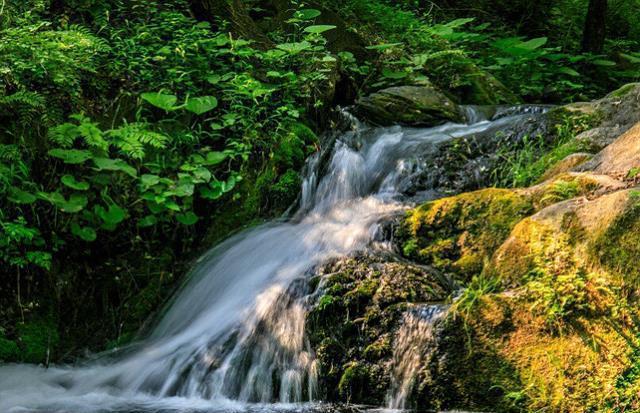 这个景点就是重渡沟,位于洛阳市栾川县的熊耳山当中,景区内最大的特色