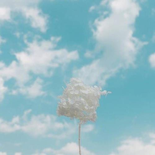 向往的生活-唯美图片-q友乐园