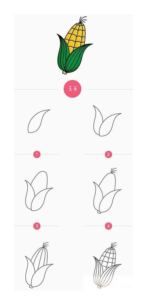 绘画——《玉米》