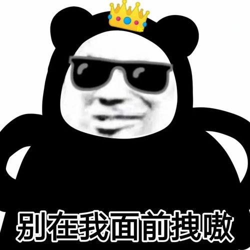 表情包你再拽什么