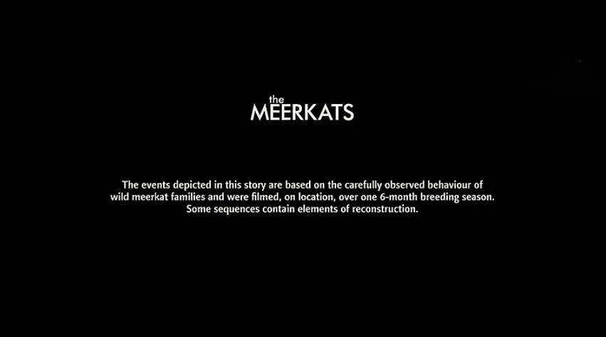 bbc纪录片《猫鼬》片尾一闪而过的字幕中提到了"片中有些场景有重建的