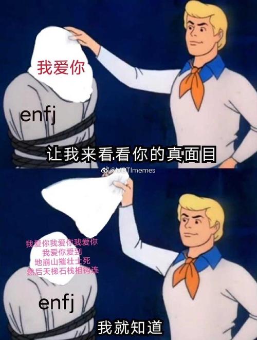 mbti meme##enfj