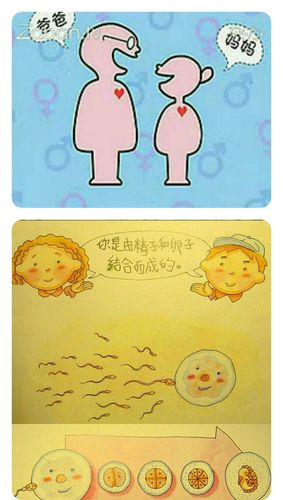 北岭诚信幼儿园中一班家长进课堂之《我从哪里来》