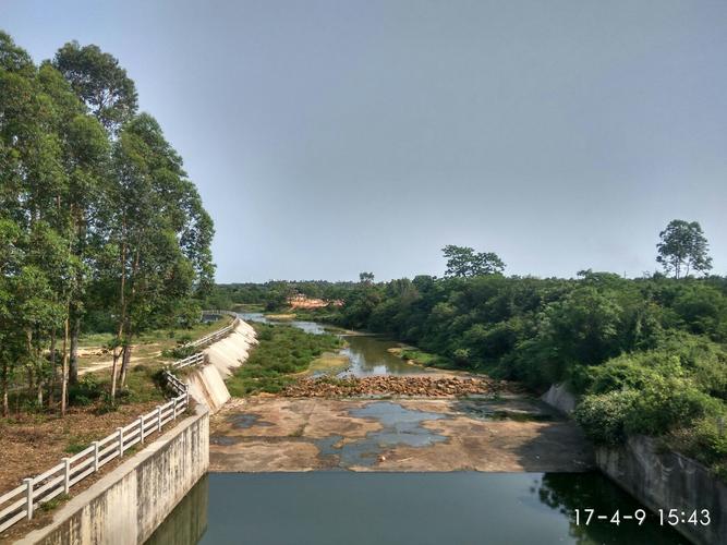 回来的路上,经过鲤鱼地水库,现在也是北海湿地公园保护区