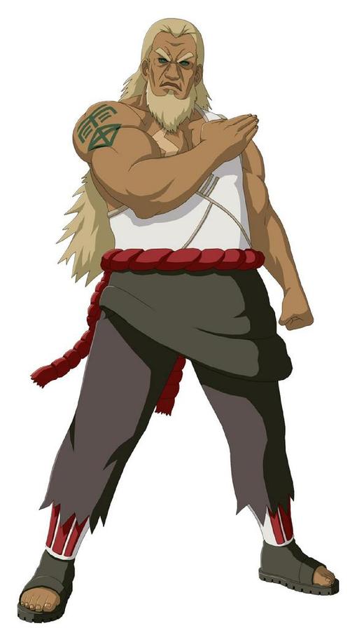 在初步建立五大国之后,为解决讨论尾兽分配问题,陪同初代雷影一起