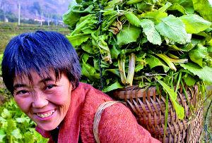 讨薪农妇熊德明过上幸福的养猪生活(图)