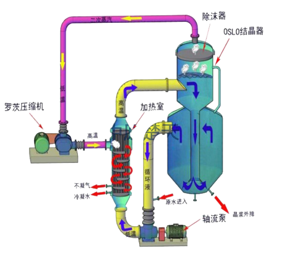 1.mvr强制循环蒸发器