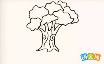 在树干上画上不同形状的纹理.