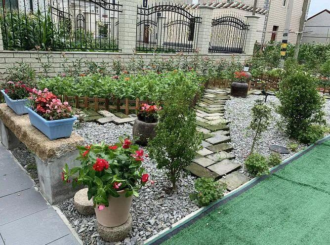 助力花博园艺赛,崇明农家小院变花园