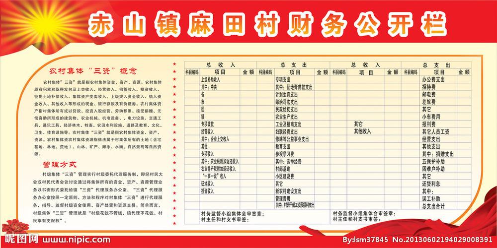 村级财务公开栏图片