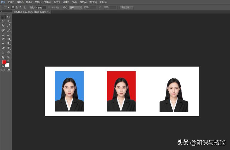 ps怎么换证件照的背景颜色仅需2步轻松解决