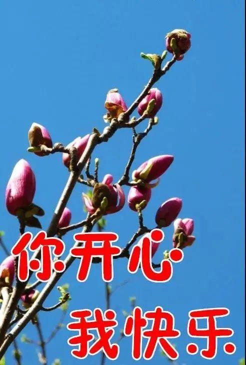 中老年表情包,身体好心情好,你开心我快乐!_腾讯新闻