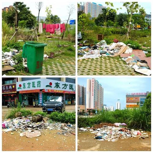 市直b区到凭祥小区公共绿地上乱扔垃圾 城南八路金鸡麦那新村安置点