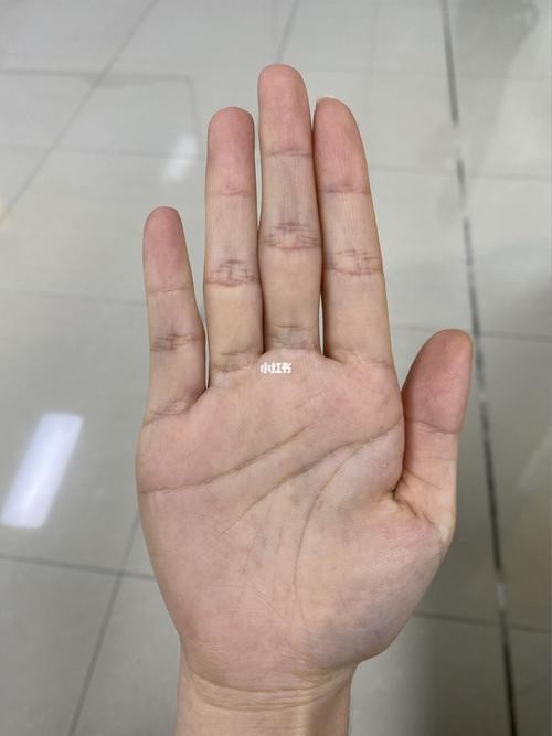 我这一生是多坎坷才配得上这样杂乱的手06_手相_hpv