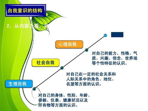 自我意识的结构 2.