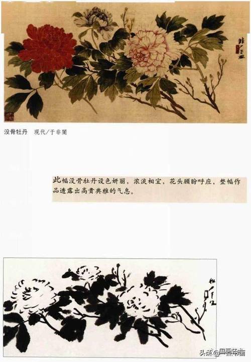 经典牡丹国画构图解析第3辑