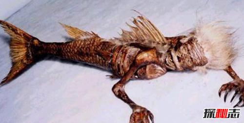 亚特兰蒂斯人鱼之谜 平均寿命达三百岁以上(谣言)