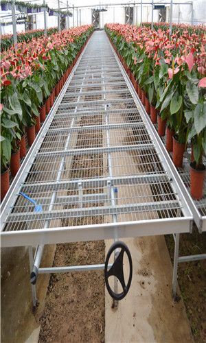 广西农用苗床