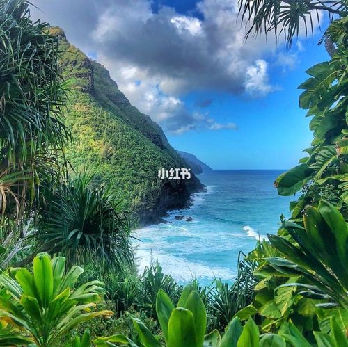 aloha,夏威夷之美959595_夏威夷_出行_传统景点