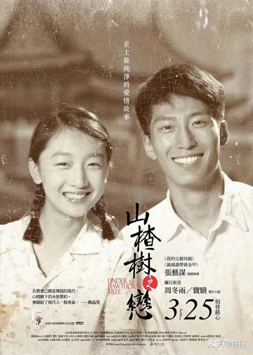 一,山楂树之恋