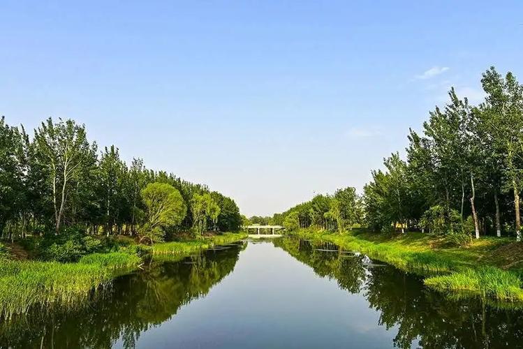 顺义新城滨河森林公园