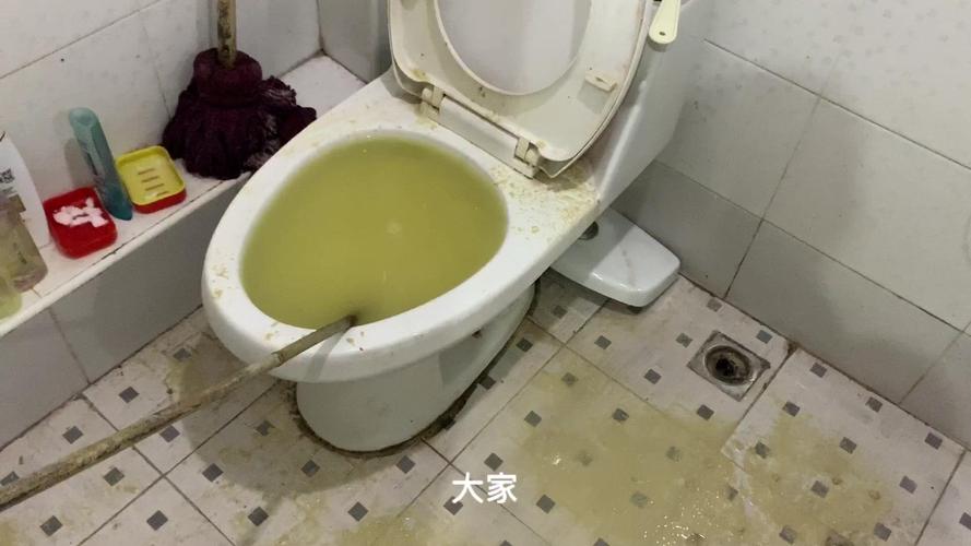 铲屎官犯低级错误,猫砂把马桶堵住了,只能手掏通马桶,长记性了