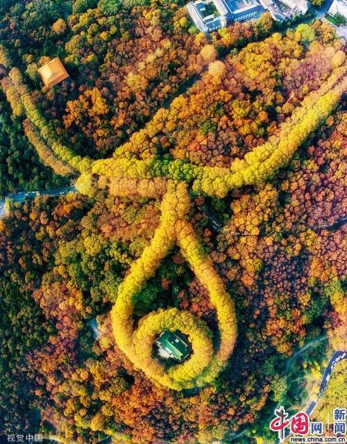 航拍南京美龄宫 如"翡翠项链"秋色迷人