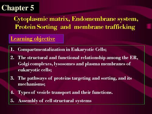 types of vesicle transport and their functions. 5.
