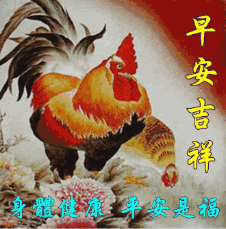不用打字就可以聊天的动态表情图片