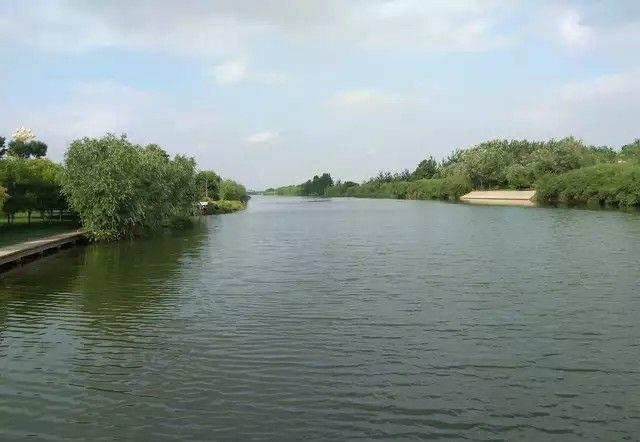 莘县——徒骇河湿地公园